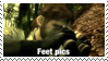 feet