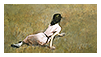tumblr_716fad2e05412d76feab574740d0cedb_16850903_250